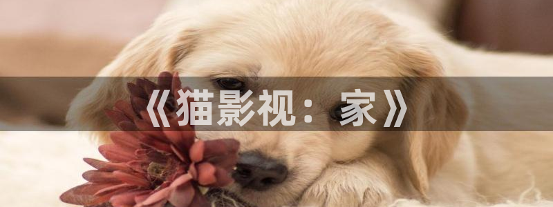 光棍天堂影院手机在线