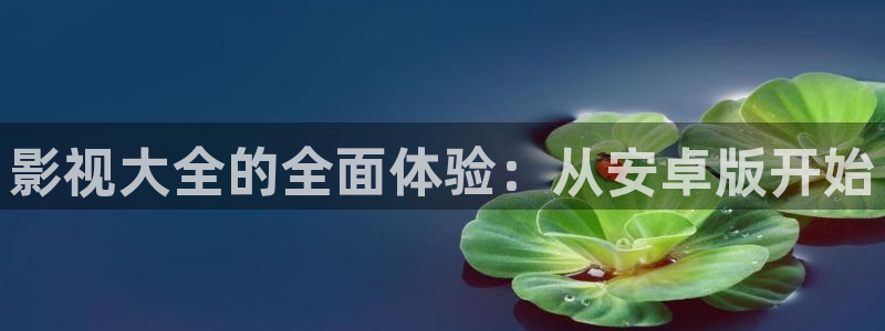 新电影天堂在线