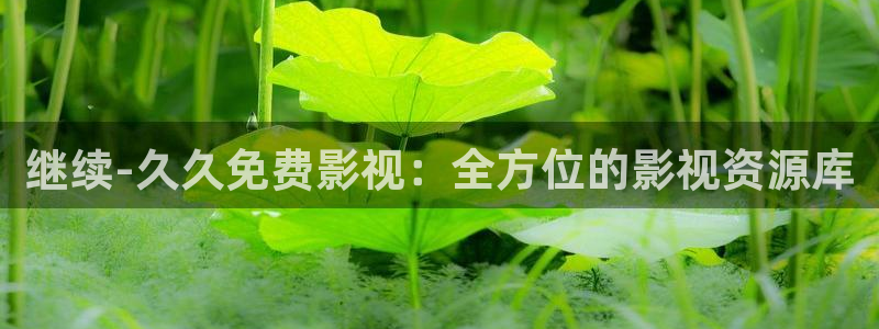 光棍天堂手机2019版免费观看神马影院