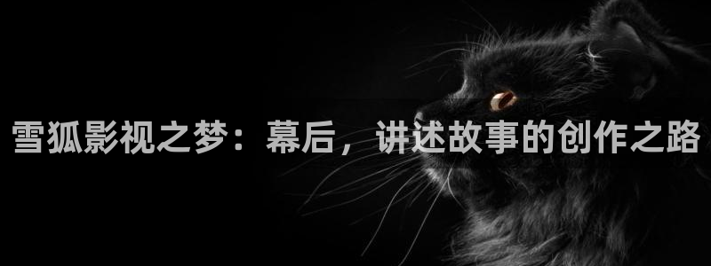 光棍天堂影院免费观看高清